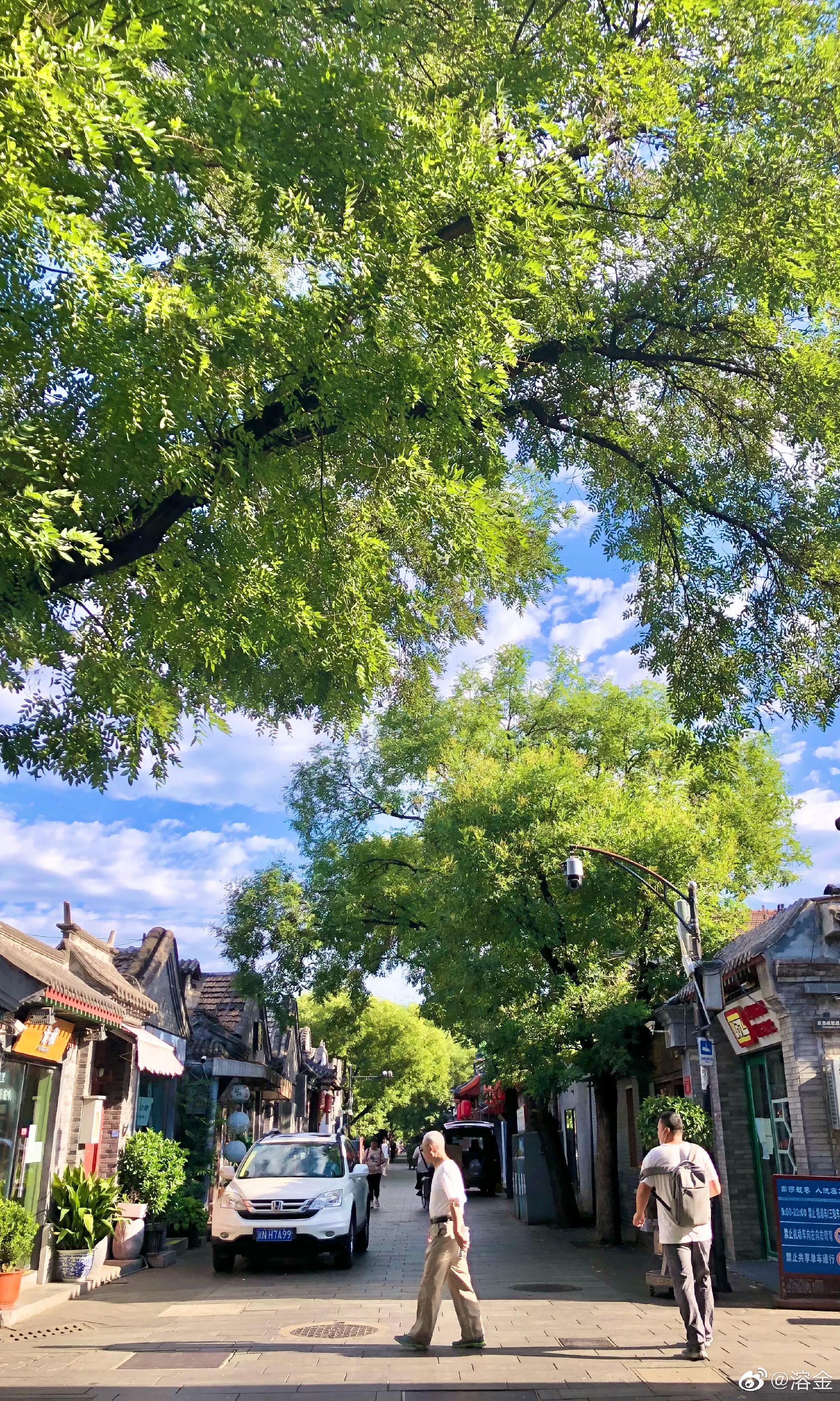 北京南锣鼓巷(北京南锣鼓巷需要预约吗) - 爱丽百科知识