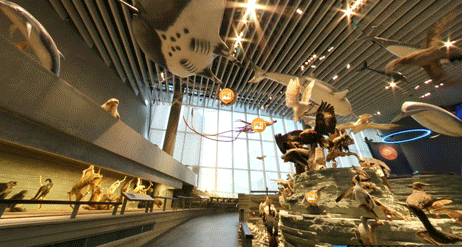 不花1毛钱,逛遍国内外14大博物馆,这个五一不无聊了