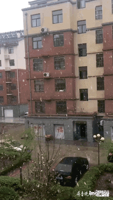 情报站|罕见！潍坊青州四月飘起雪花，壹粉：路边都变白了！
