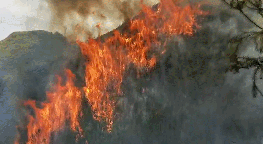 534_293gif 动态图 动图