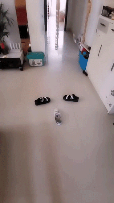 打开特效往地上扔一拖鞋,好玩的事情就发生了