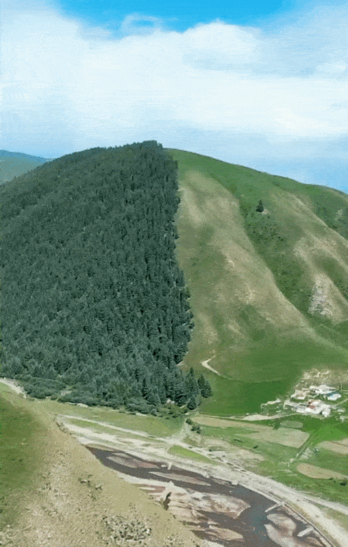 一张图告诉你,怎样才能避免秃头(第416期)|唐唐|阴坡|秃头_新浪新闻