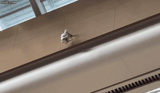 北京长楹天街内表演冷烟花被消防水炮精准浇灭 处罚结果来了