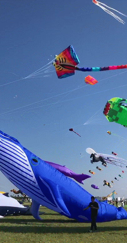 知道"潍坊"人们提起莫言将不知所往爱好放风筝的游人世界上或将缺少一