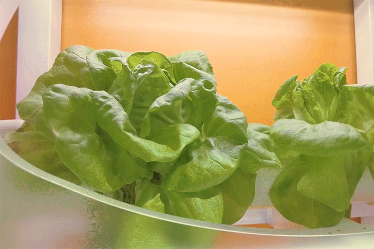 750_500gif 动态图 动图