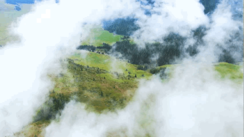 853_480gif 动态图 动图