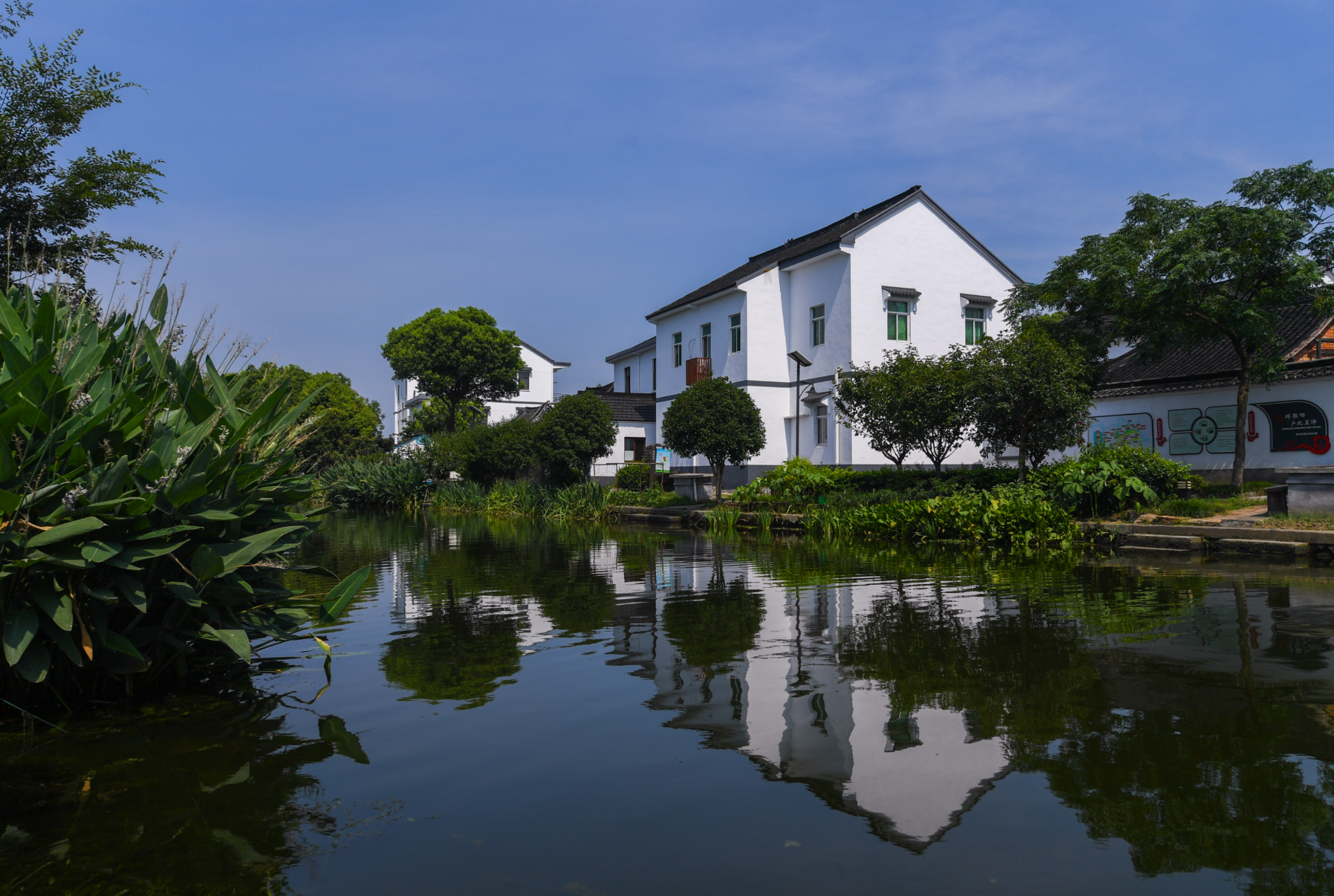 2021年7月12日,浙江省嘉善市姚庄镇横港村一景.图片来源:新华社