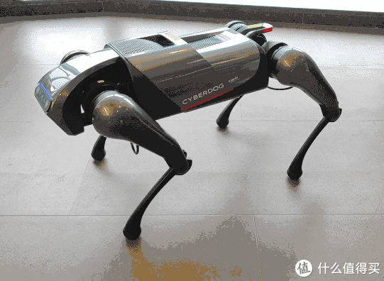 人生中养的第一条狗是机器狗小米cyberdog铁蛋初体验
