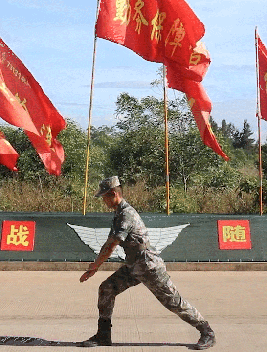 兵哥标准版军体拳发布