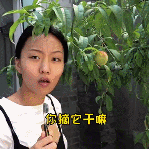 全网爆红的抖音贝勒爷,到底啥来头?|抖音|张小花|姐妹_新浪新闻