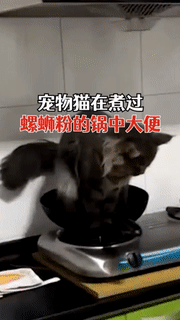 当黑丝美女出现在篮球场上|10大动图|bb机|岁月|螺蛳粉_新浪新闻