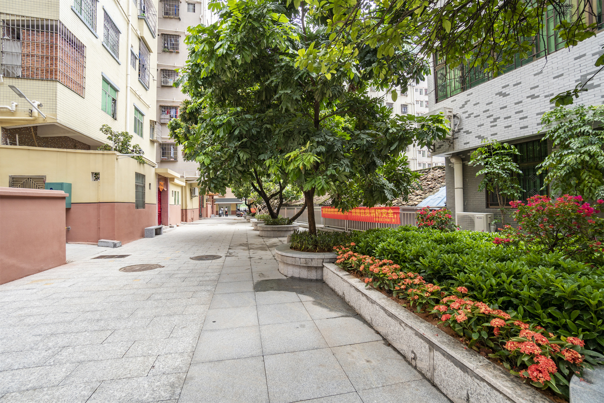 马田街道启动三宜文明新村创建计划14个城中村通过微改造将实现生活