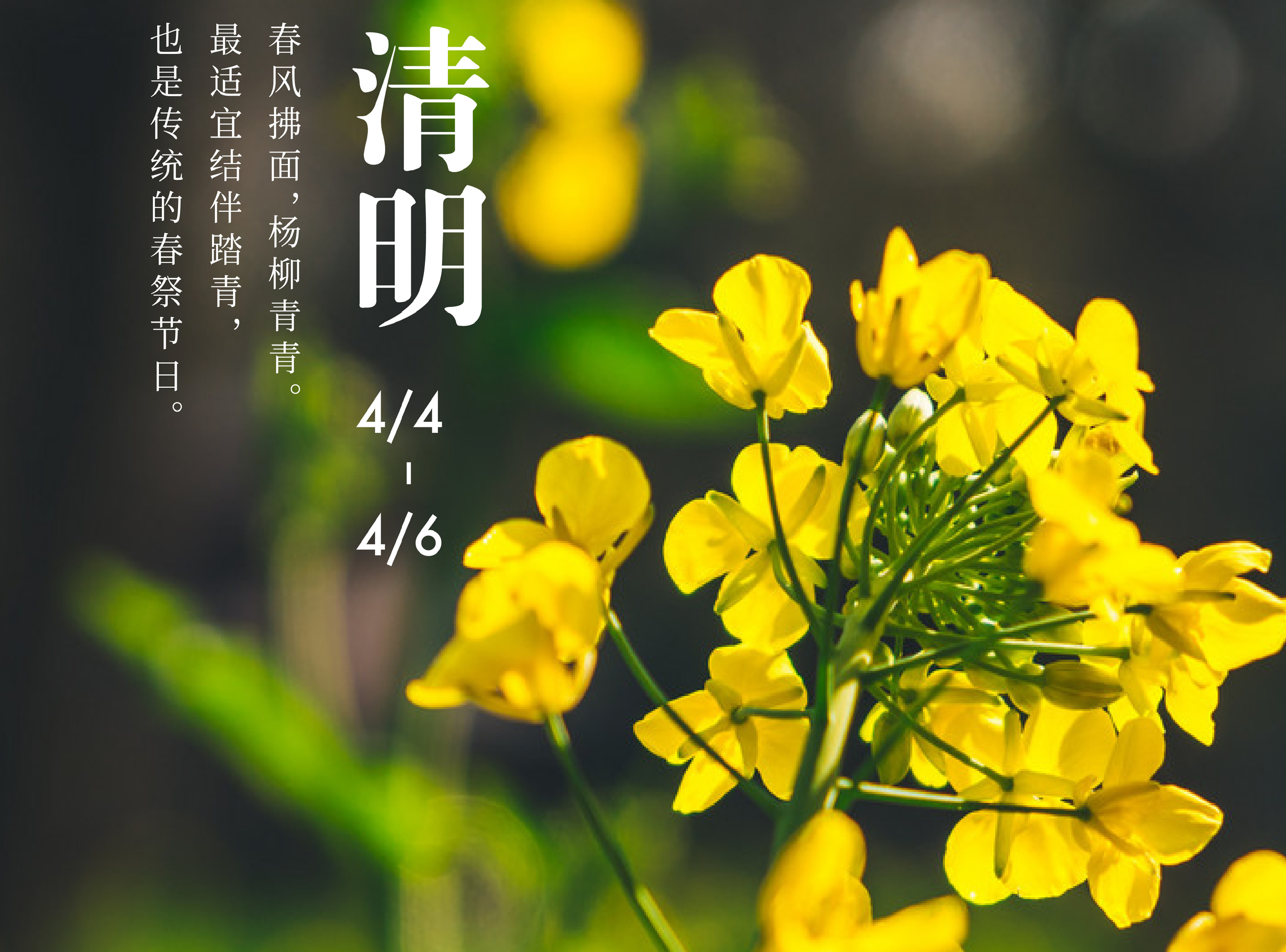 全球连线二十四节气大赏之五清明