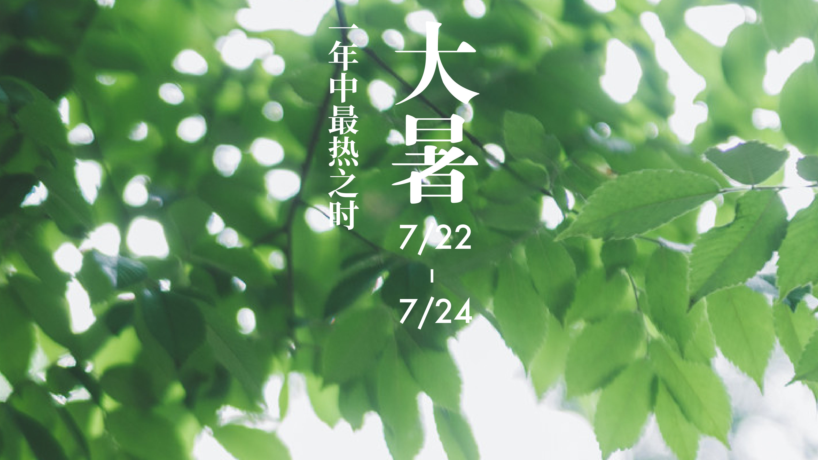 全球连线二十四节气大赏之十二大暑