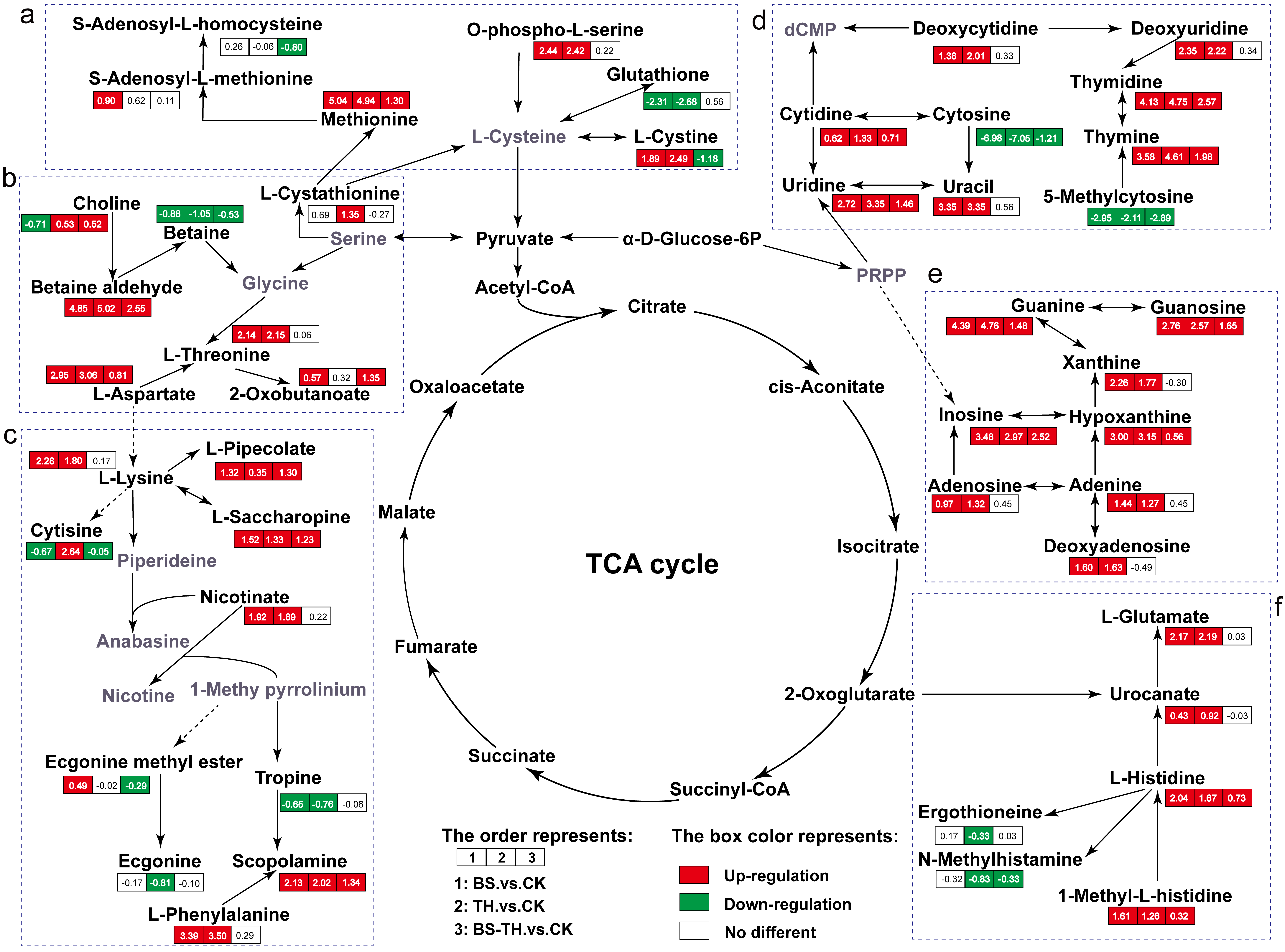 (堆肥中氨基酸,碳水化合物和生物碱代谢物的代谢网络)