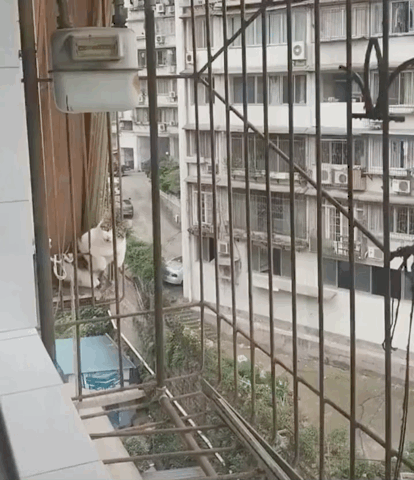 每次只要家里炖鱼,27快跑进我的嘴里!