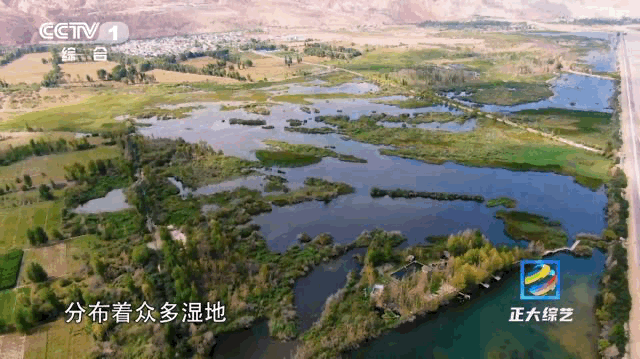 在这里，黄河的水竟然清澈见底！今晚《正大综艺》带你深度畅游青海贵德县尕让乡休闲区蓝鸢梦想 - Www.slyday.coM