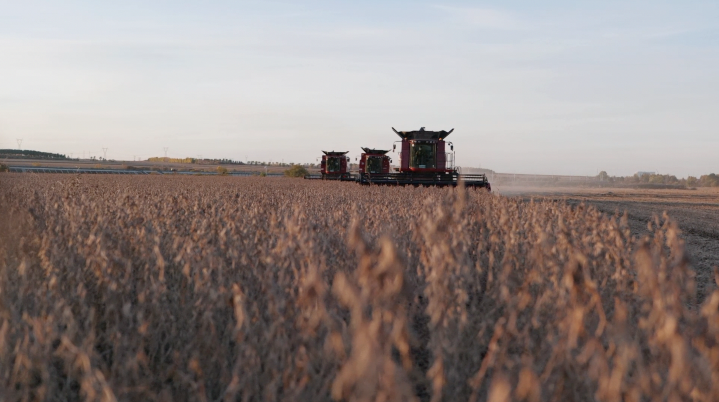 忙起来 热起来 旺起来——新春吉林经济一线见闻