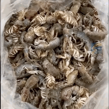 这两天，青岛人被5条热搜急红了眼！指着家门口的大海一通抱怨：你欠我们每个人500斤海鲜休闲区蓝鸢梦想 - Www.slyday.coM