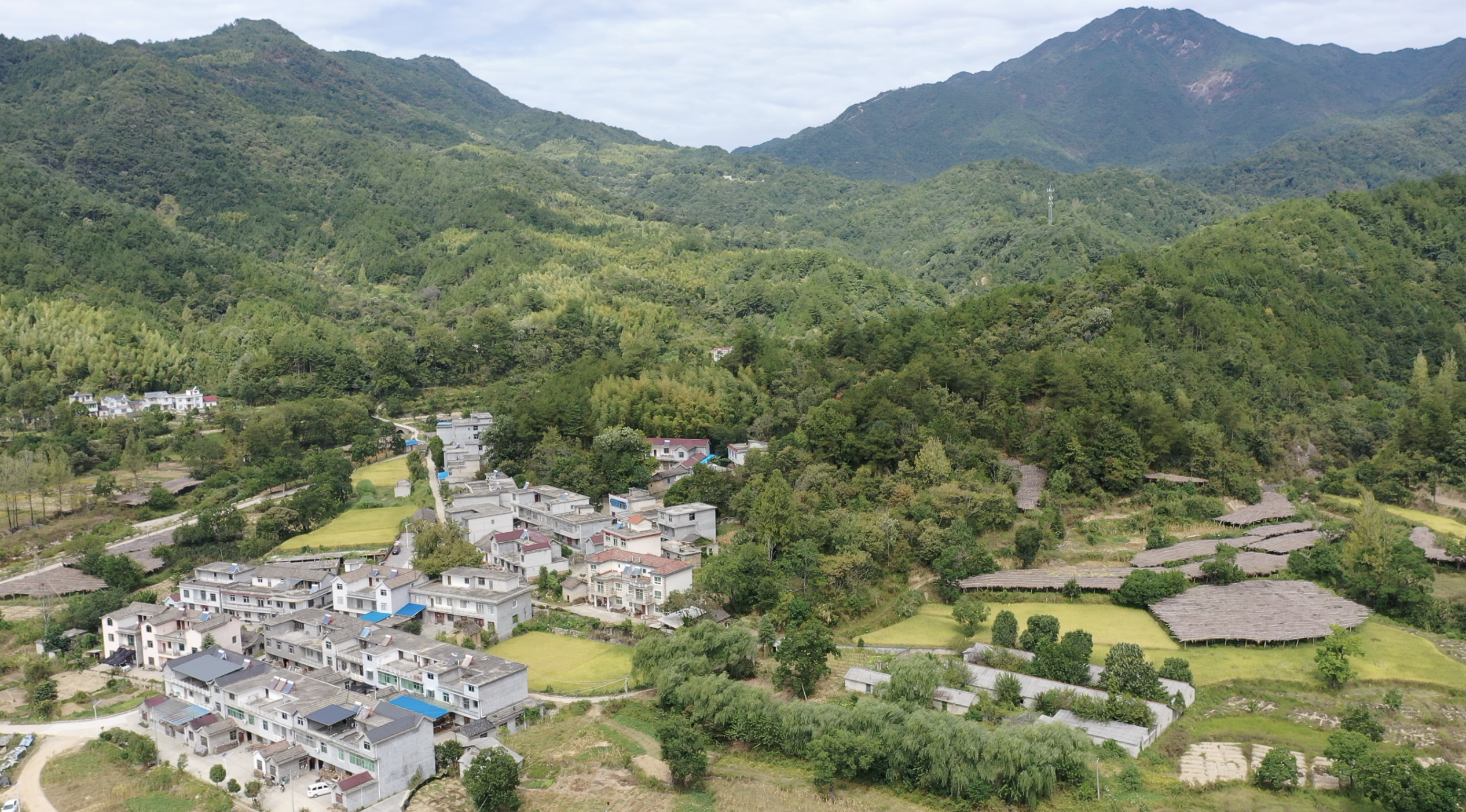 官基坪村地处大别山区.