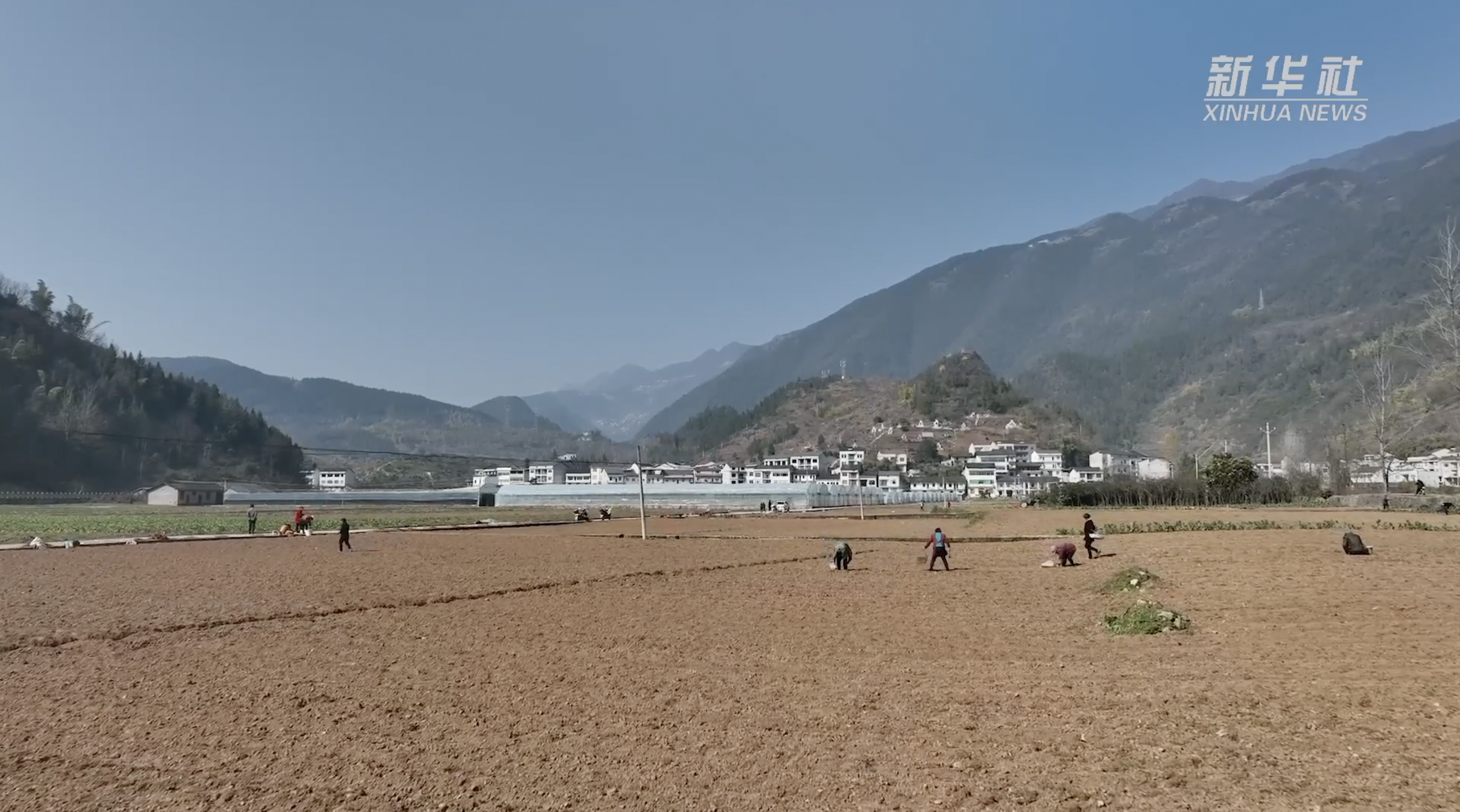 在巫溪縣鳳凰鎮蔬菜保供基地,當地村民正在搶抓農時,種植春馬鈴薯.