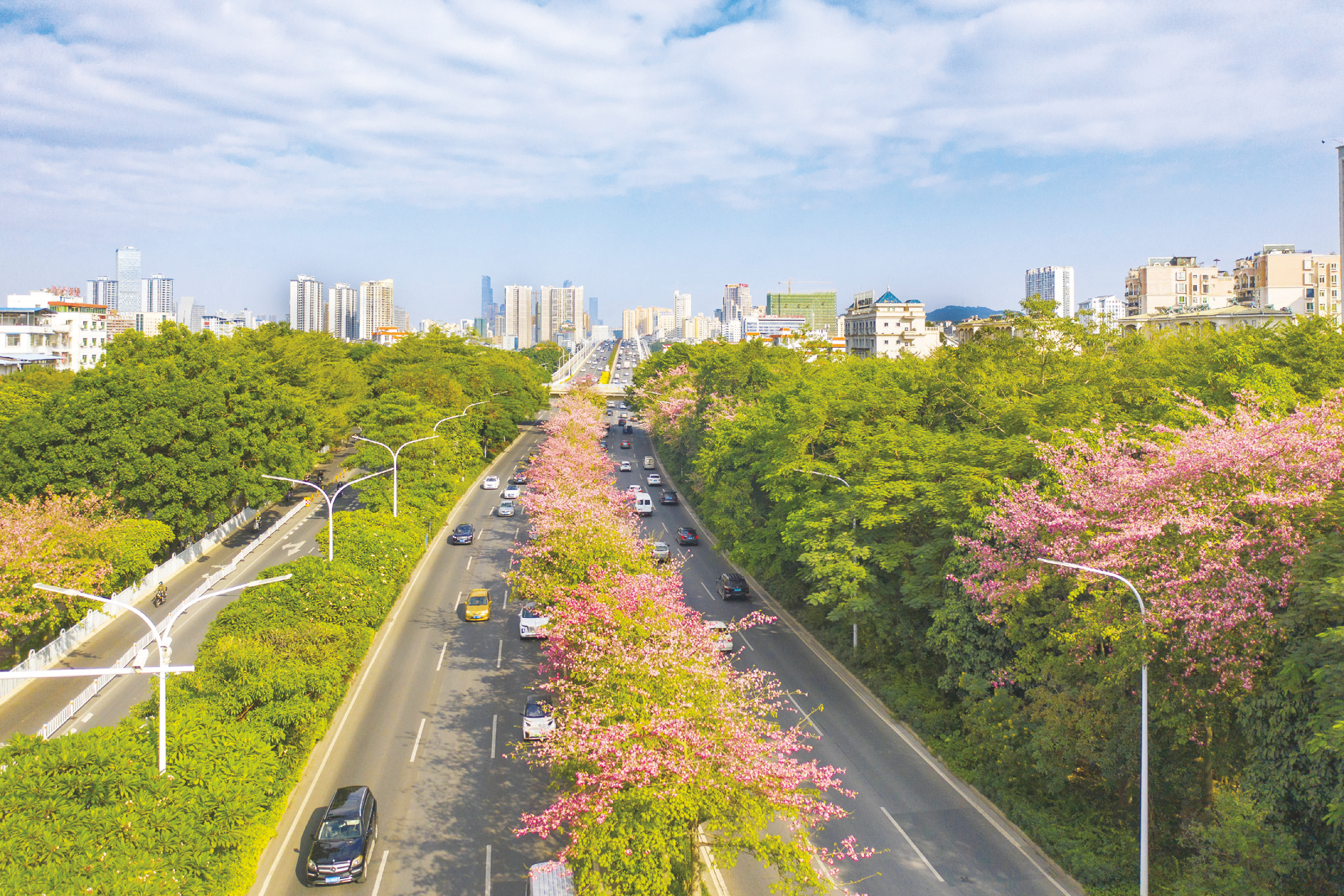 花化,绿化,美化,邕城焕发新魅力