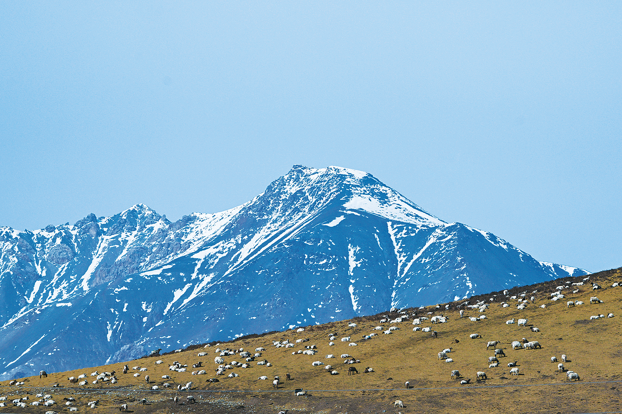 青海网站建设要求_(青海网站推广策划方案)