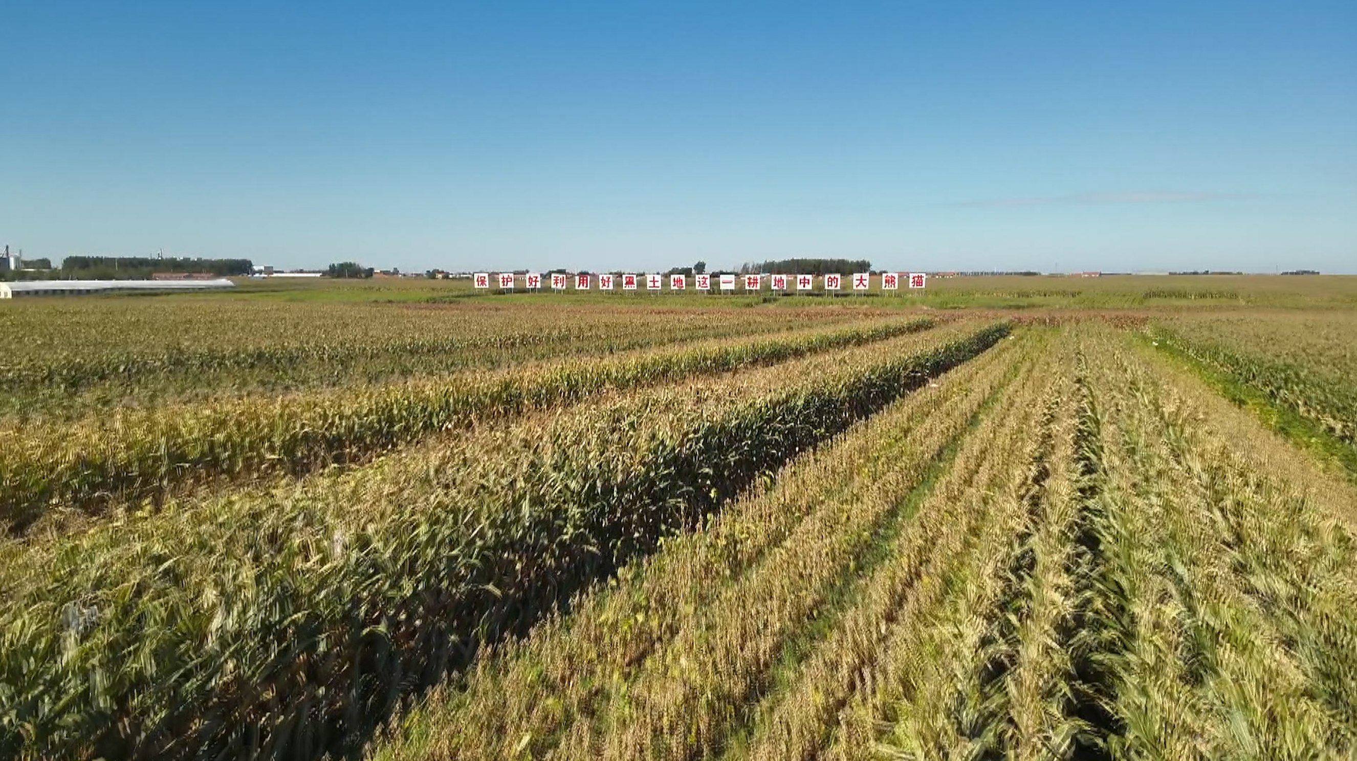 沃野良田好"丰"景——吉林黑土地保障粮食丰收见闻|吉林省_新浪新闻