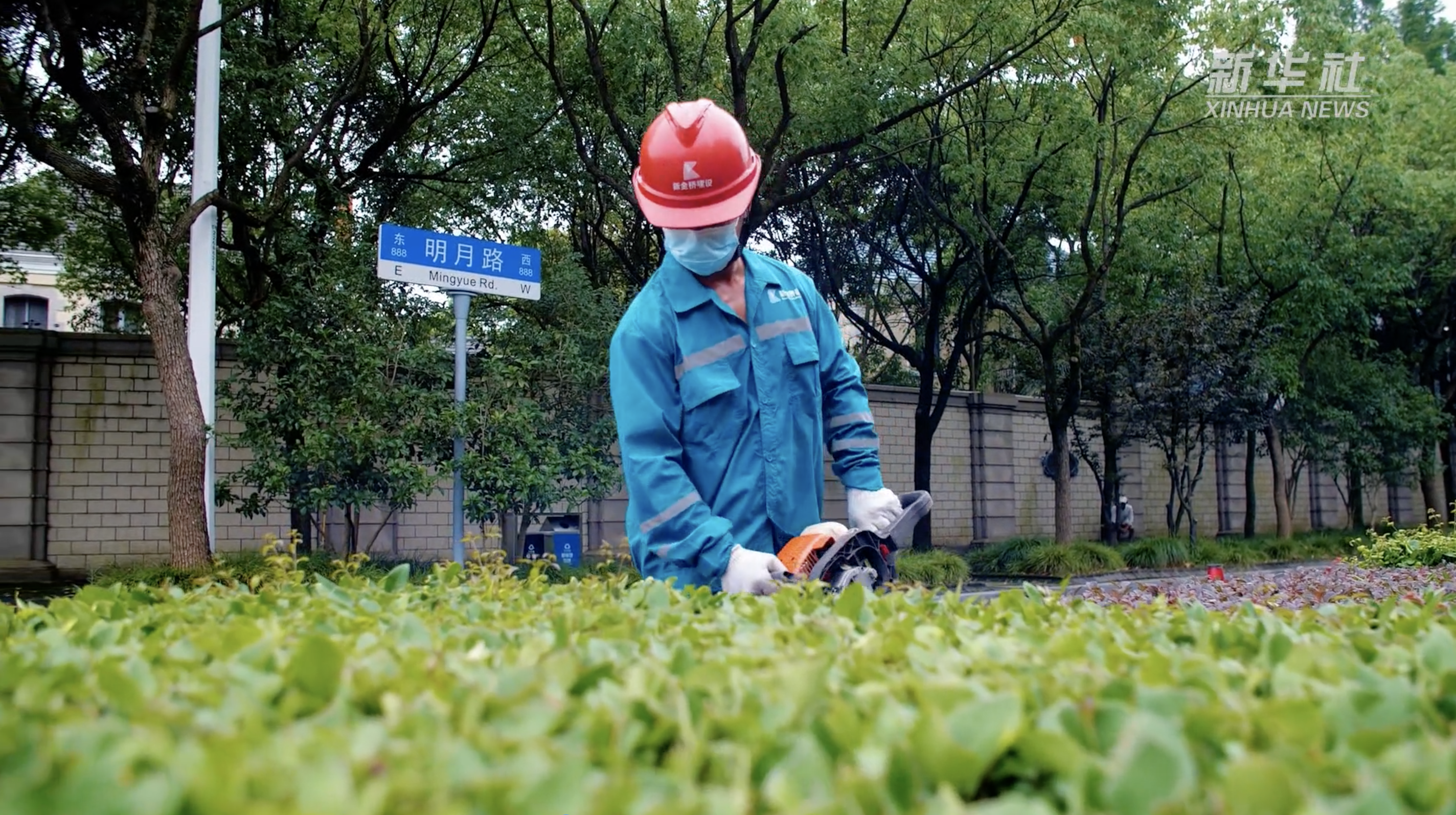 上海:绿化养护跑出科技加速度