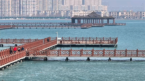 春湖微漾的大庆,你见过吗?|大庆市_新浪新闻