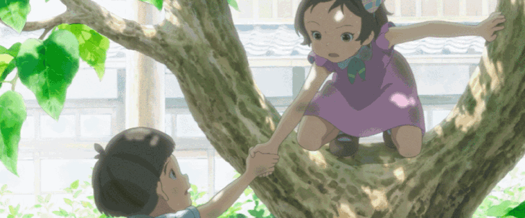 搬来大梯子.后来,小豆豆还拉着泰明一起爬树.