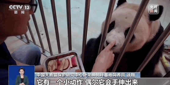 爆火！“顶流”今天正式复出！-今年顶流