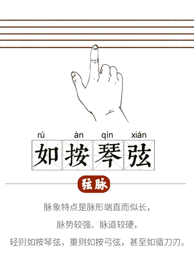 中医为什么能通过号脉就诊断出病情?用18张高清动画图演示_新浪新闻