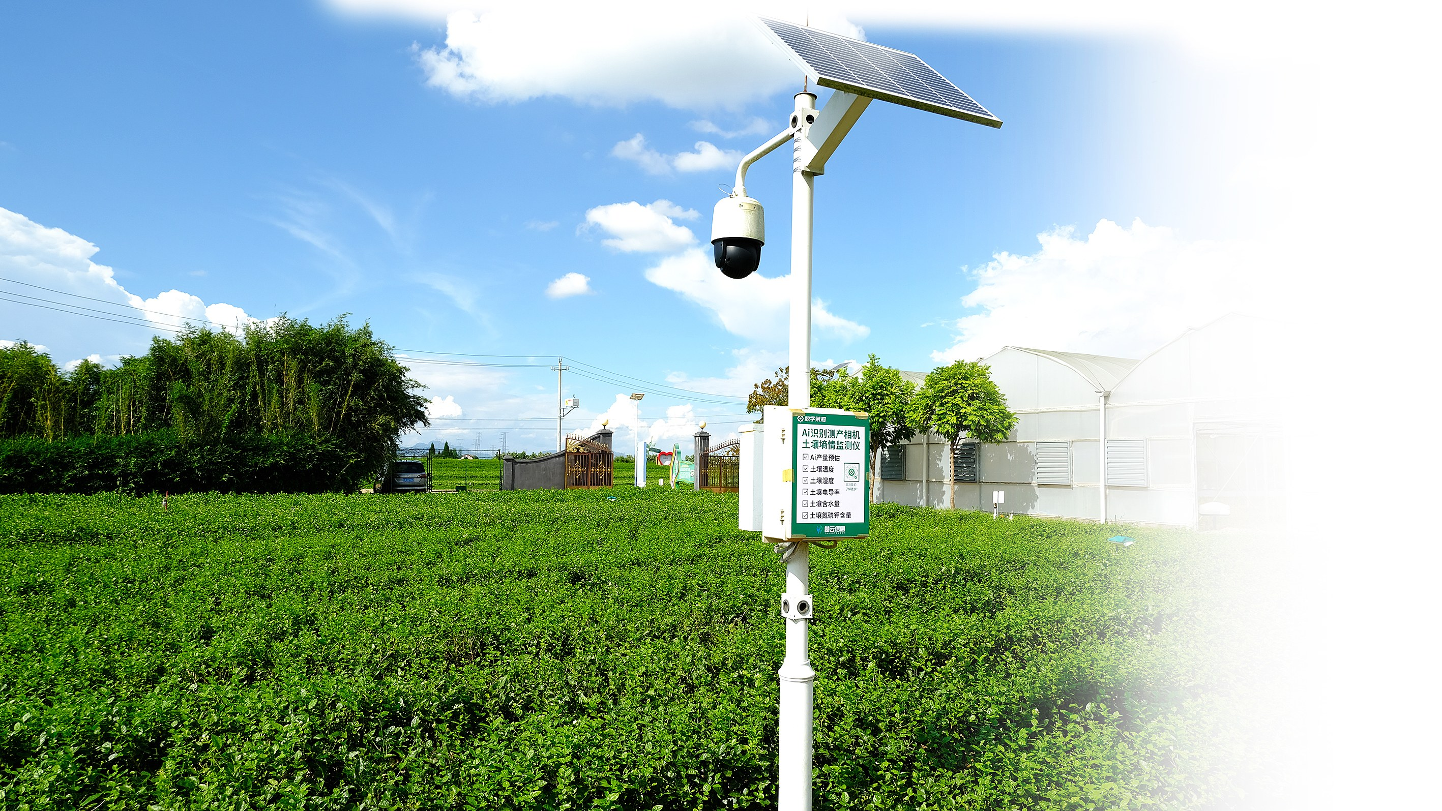     在横州的茉莉花田里安装的AI识别测产相机土壤墒情监测仪。    本报记者卢丽婷 摄