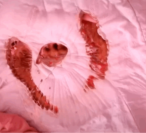 吓人阜阳居民家中突发