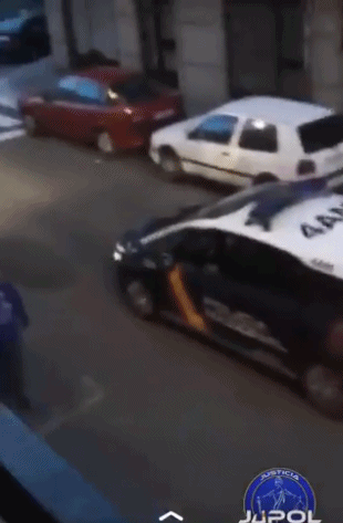 遛假狗想要上街