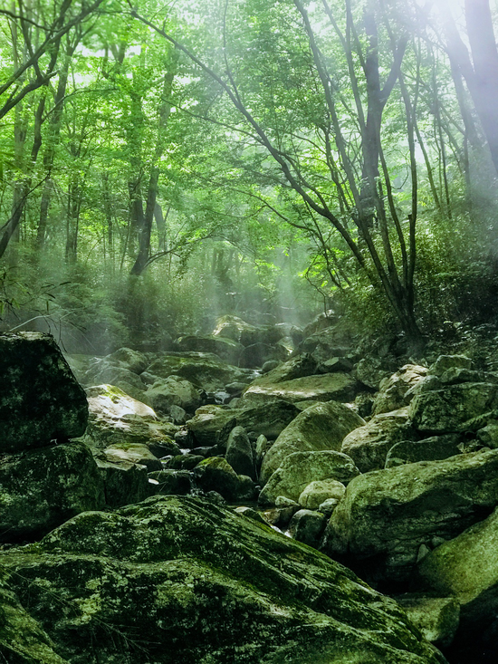 探訪終南山泉水源地,茂林深澗有好水