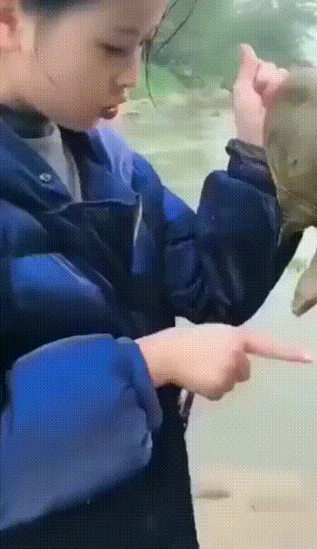 自作孽不可活啊-搞笑gif动态图片-izike