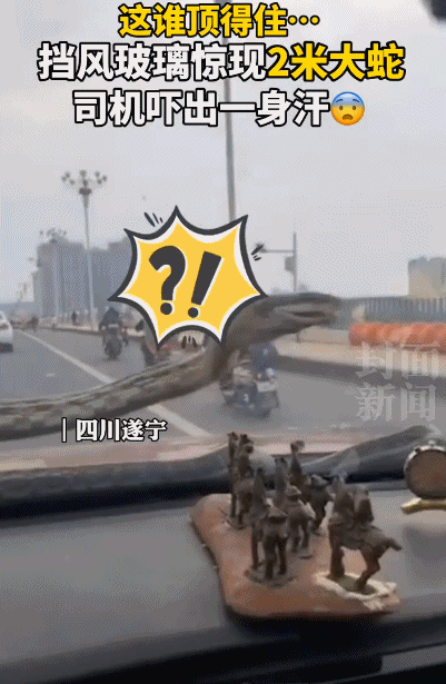 如果是我我直接吓到当场去世-搞笑gif动态图片-izike