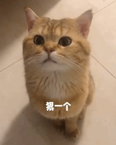 麻你说这样气势够不够？-搞笑gif动态图片-izike