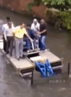 一只方舟的覆没gif搞笑图片