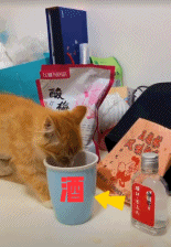 这酒着实有点上头-搞笑gif动态图片-izike
