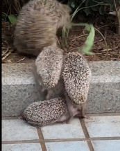 道出了人生的道理gif搞笑图片