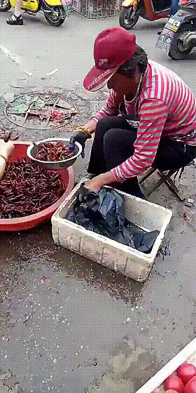 以后买东西袋子自已拿着！-搞笑gif动态图片-izike
