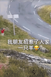 青青草原你别狂-搞笑gif动态图片-izike