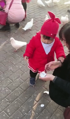 这操作真的很社会了-搞笑gif动态图片 - izike-izike