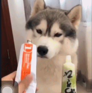 芥末竟然也能吃得津津有味-搞笑gif动态图片-izike