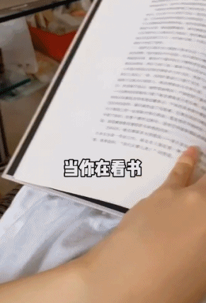 试问谁不想拥有这样一只“求摸基”-搞笑gif动态图片 - izike-izike