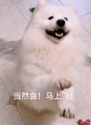 快来看看我的天使之翼-搞笑gif动态图片-izike