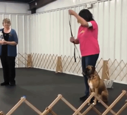 过于兴奋停不下来-搞笑gif动态图片-izike